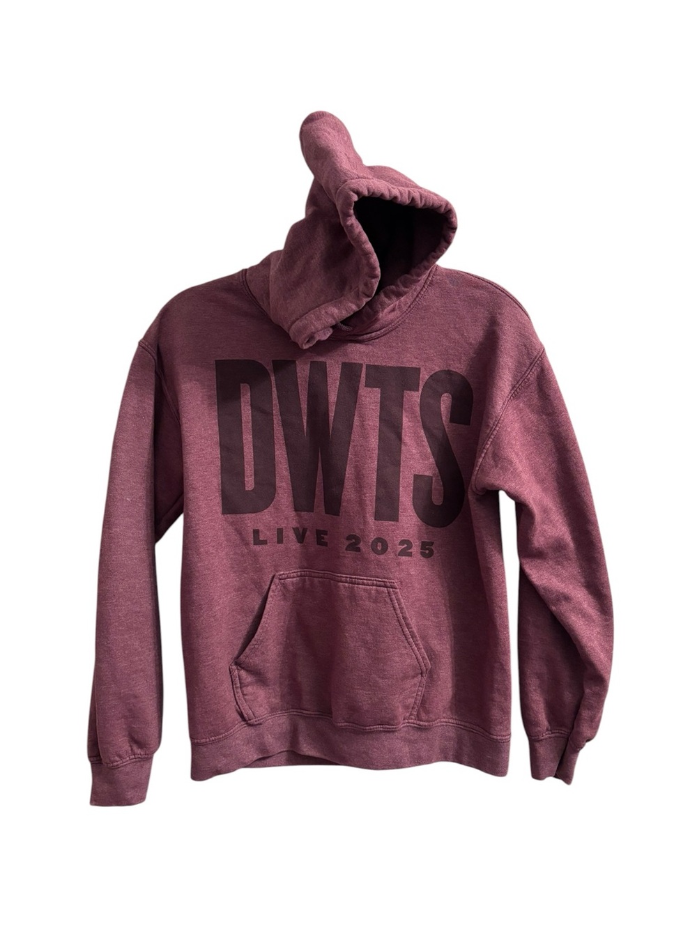DWTS‎ Live 2025 Hooded Sweatshirt - Mauve